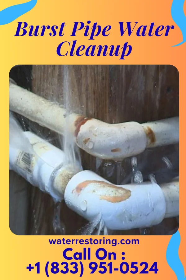 Burst Pipe Water Cleanup in Rural Valley, PA
