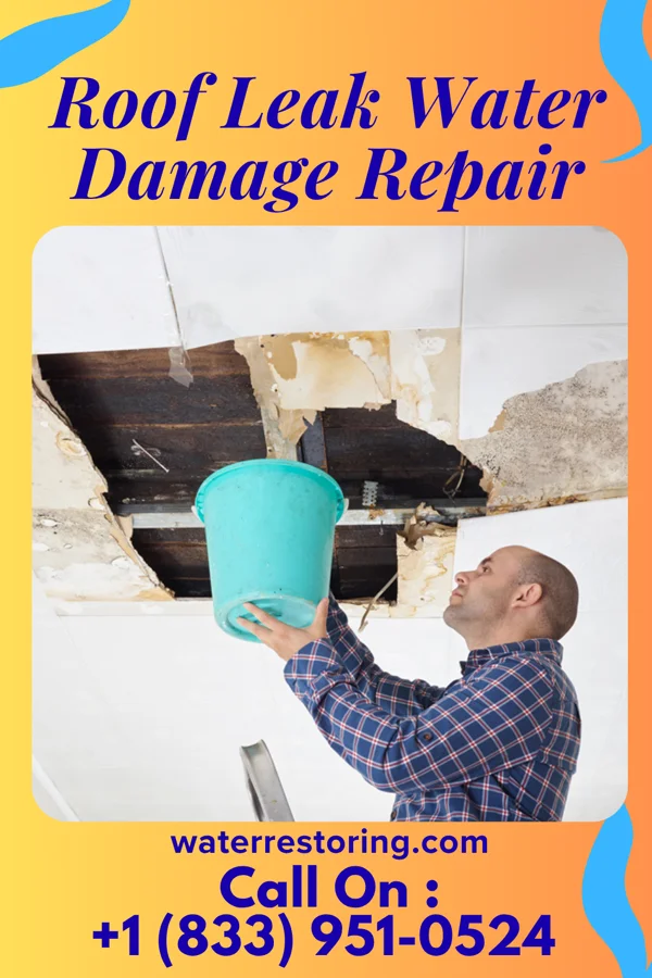 Roof Leak Water Damage Repair in Rural Valley, PA