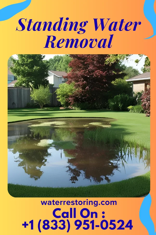 Standing Water Removal in Rural Valley, PA
